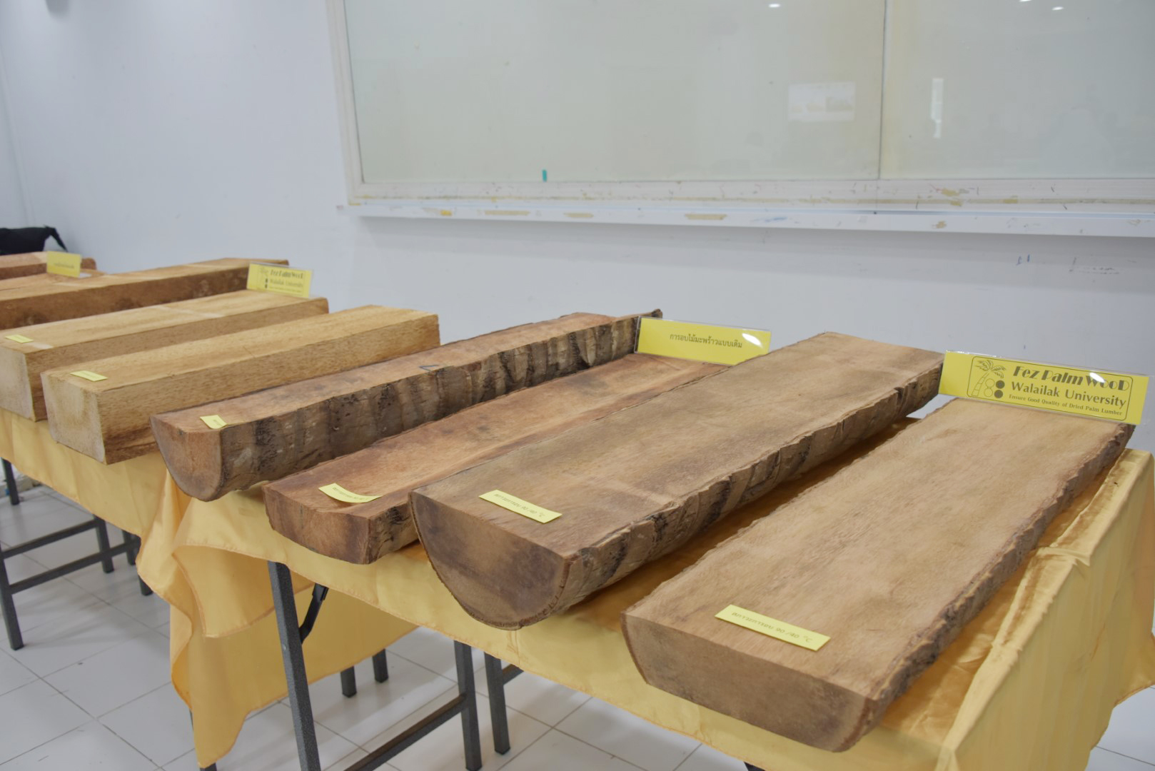 Walailak researchers discover a method to eliminate collapse in oil palm wood during drying, a revolutionary chapter in the wood processing industry