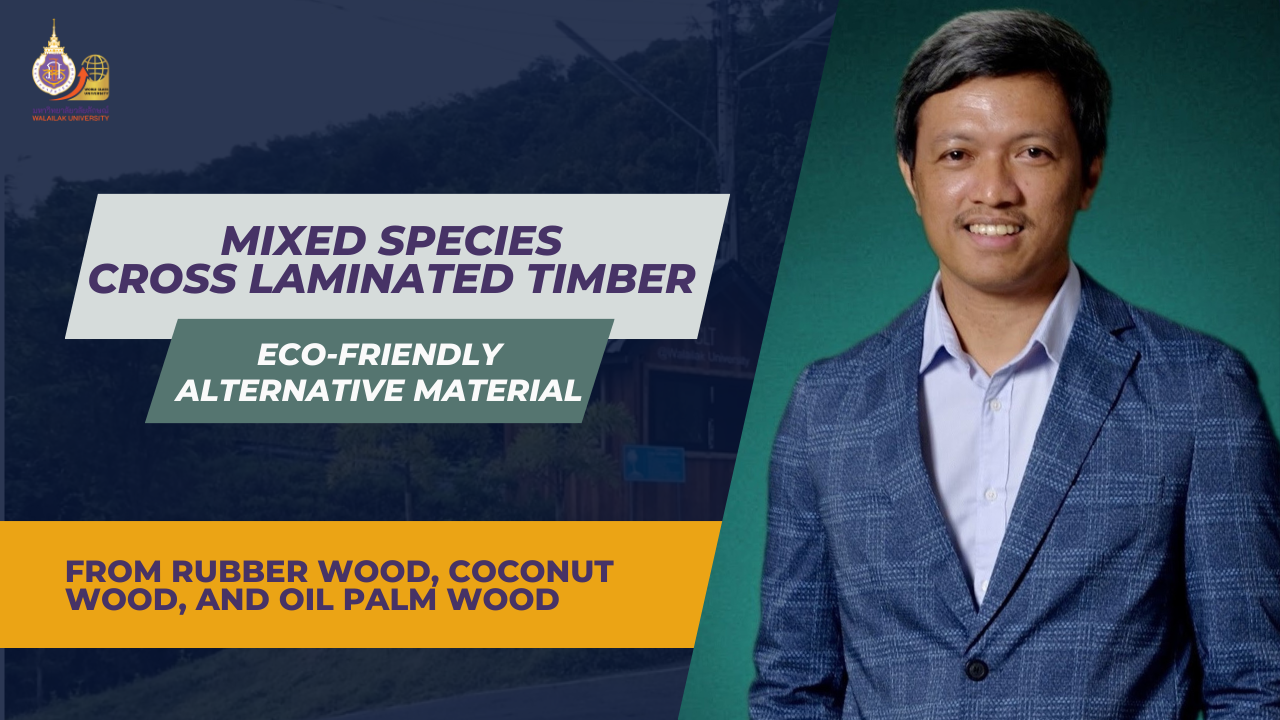 Walailak Researcher Develops Mixed Species Cross Laminated Timber from Rubber Wood, Coconut Wood, and Oil Palm Wood: A Promising Eco-Friendly Alternative Material for Thailand’s Construction Industry
