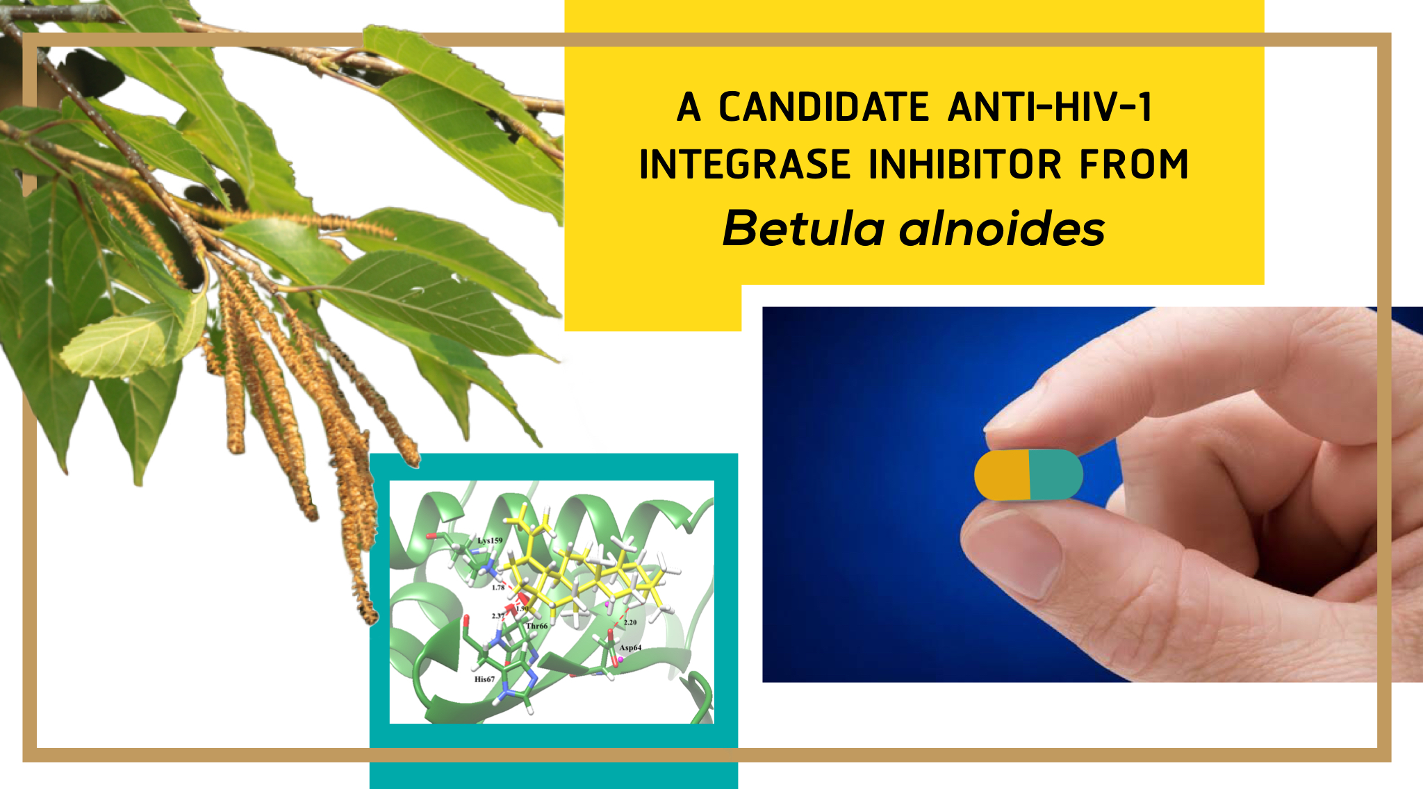 A Candidate Anti-HIV-1 Integrase Inhibitor from Betula alnoides