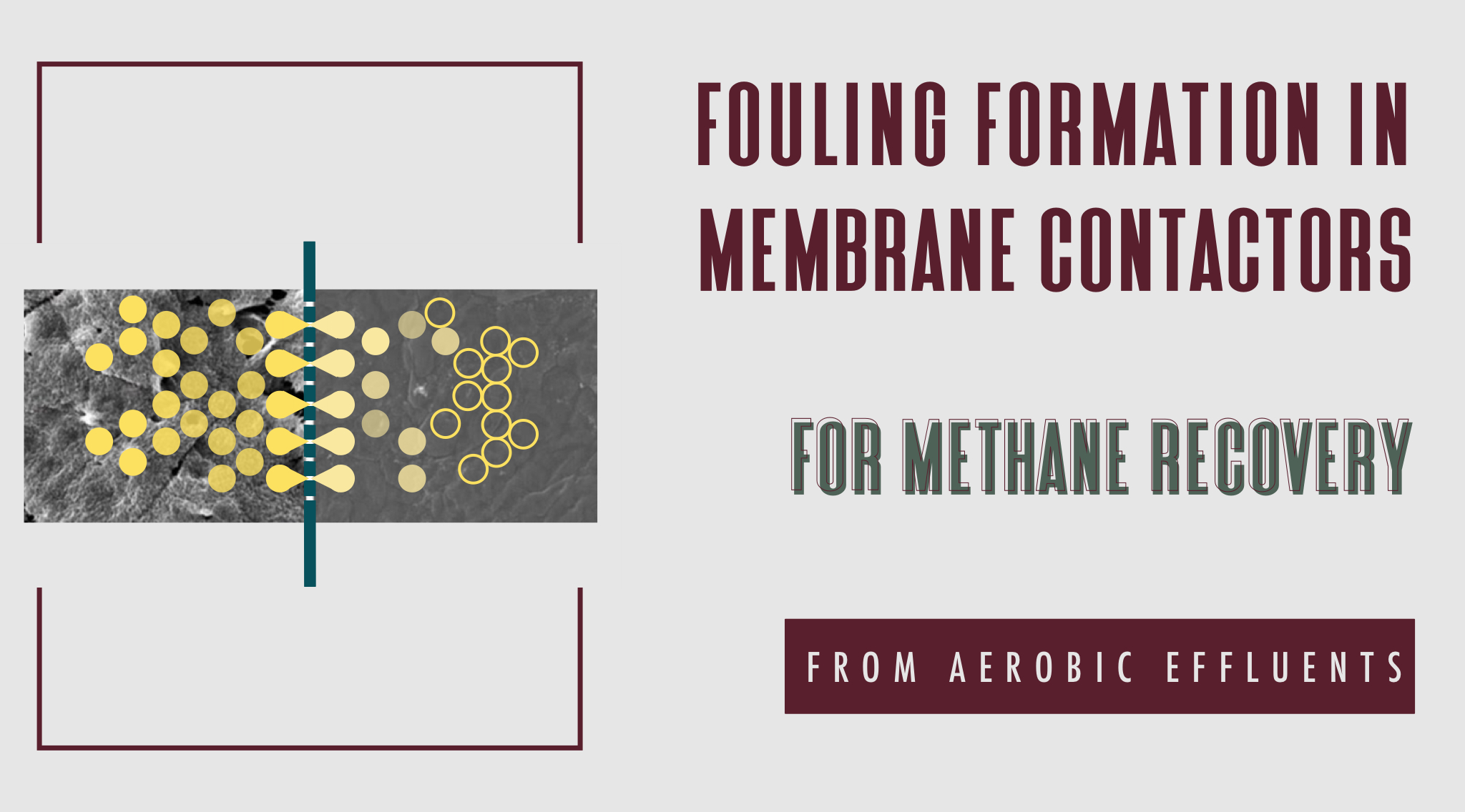 Fouling formation in membrane contactors for methane recovery from anaerobic effluents