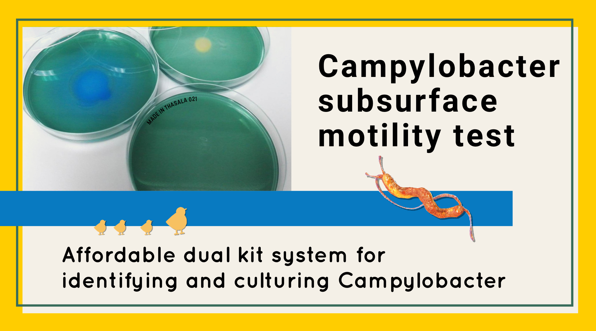 Campy Subsurface Motility Test – affordable dual kit system for identifying and culturing Campylobacter